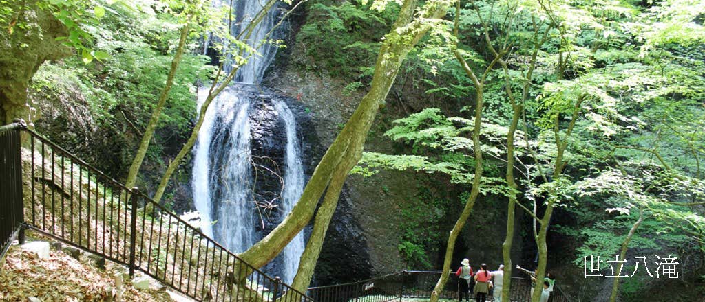 世立八滝