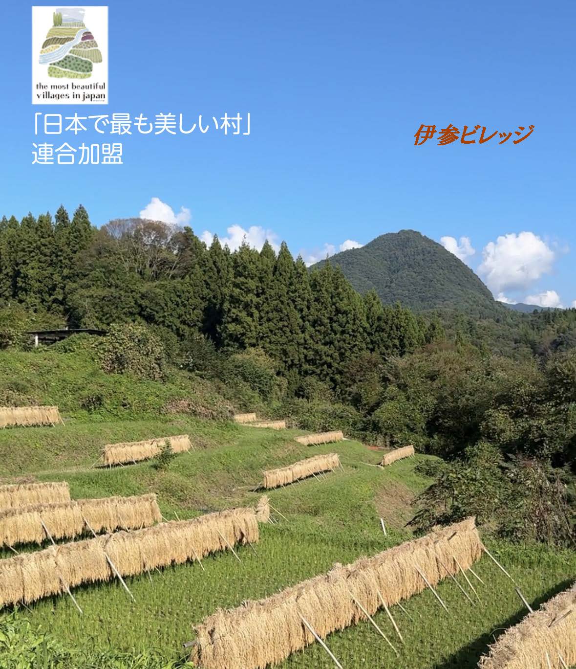 伊参