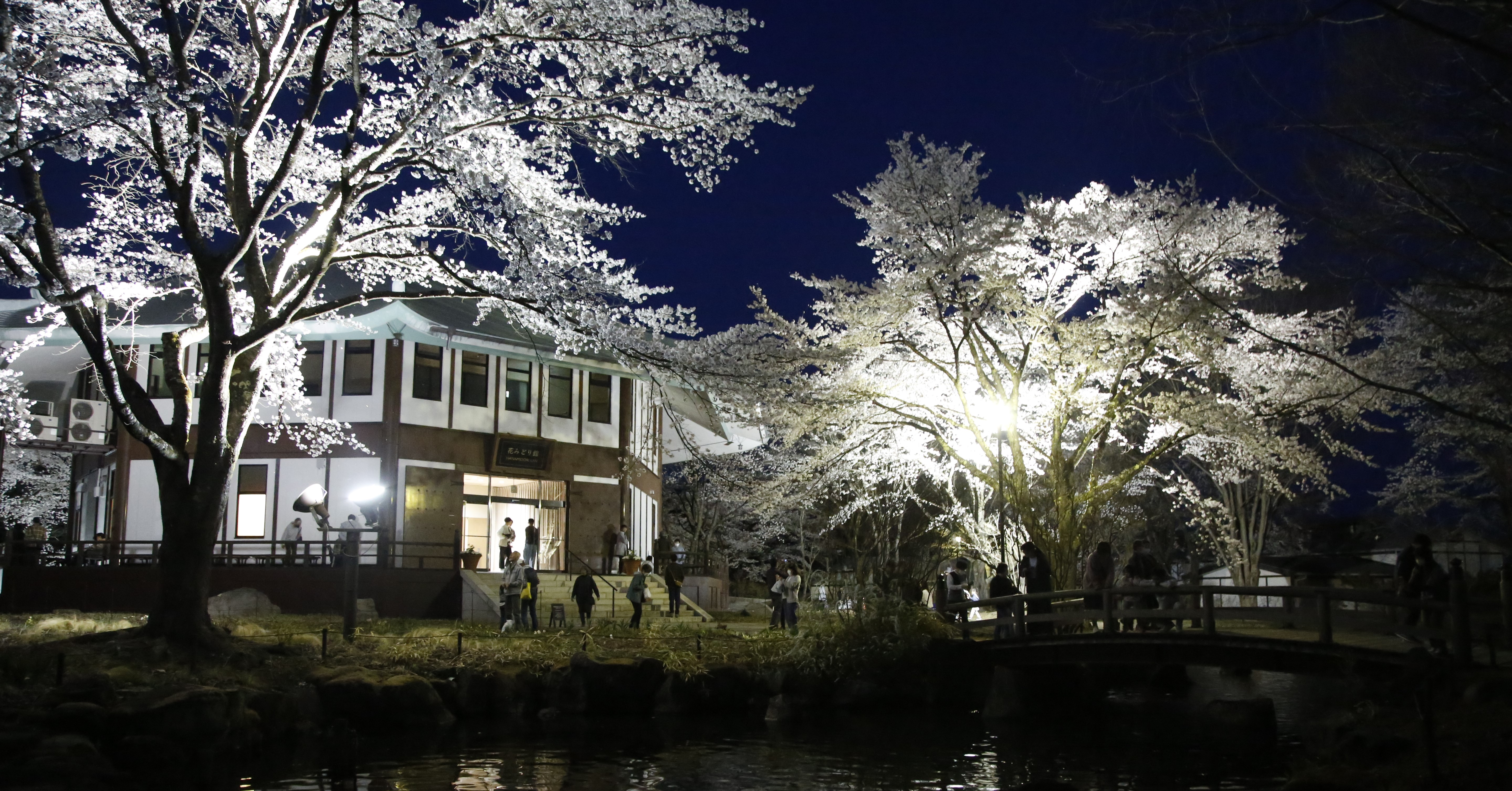 ガーデンズ　ライトアップ