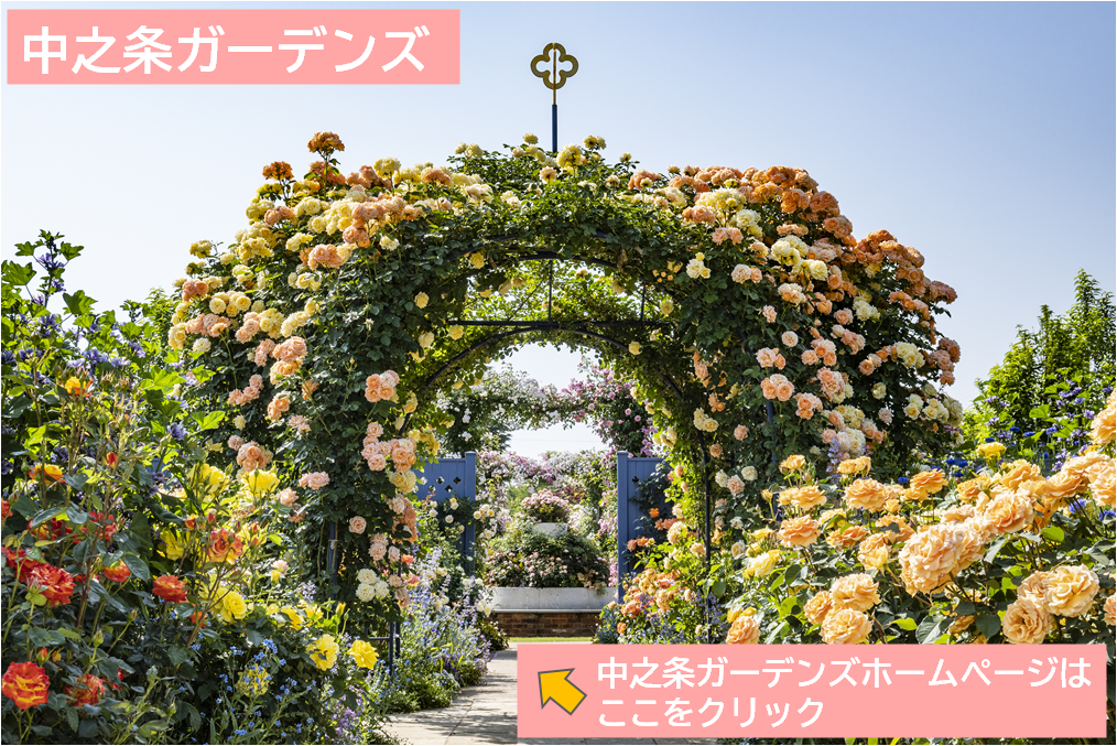 中之条ガーデンズ
