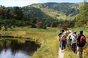 芳ヶ平湿原の画像2