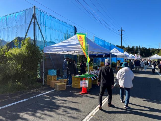 りんご祭りの風景