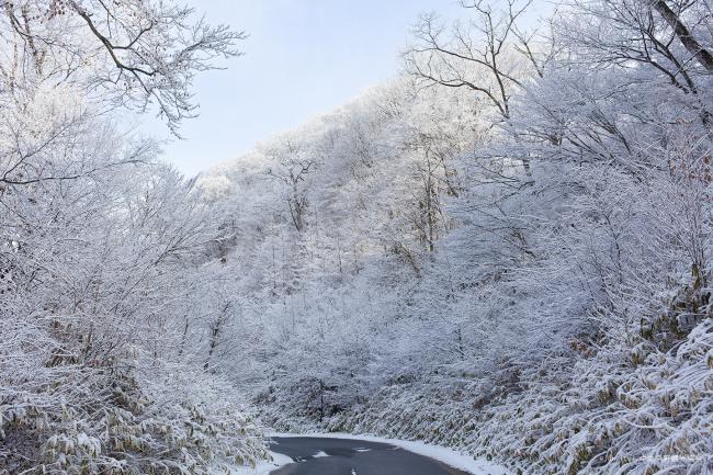 雪景色