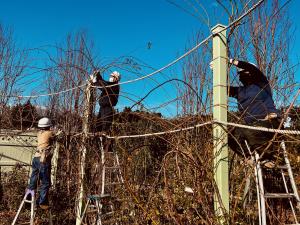 ローズガーデン作業風景