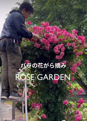 インスタグラム編集風景