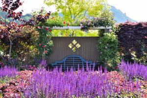 チョコレートガーデンの様子